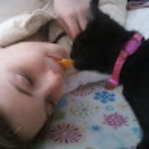 Meet your Posher, Kitty